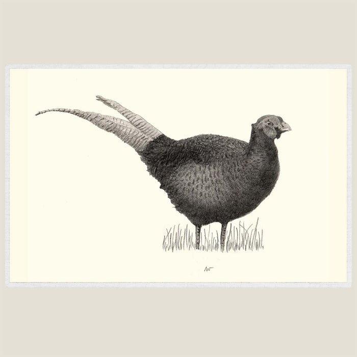 Pheasant 1 - Hand drawn waterproof placemat