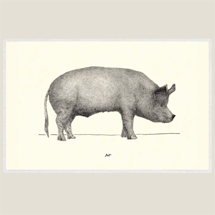 Pig - Hand drawn waterproof placemat
