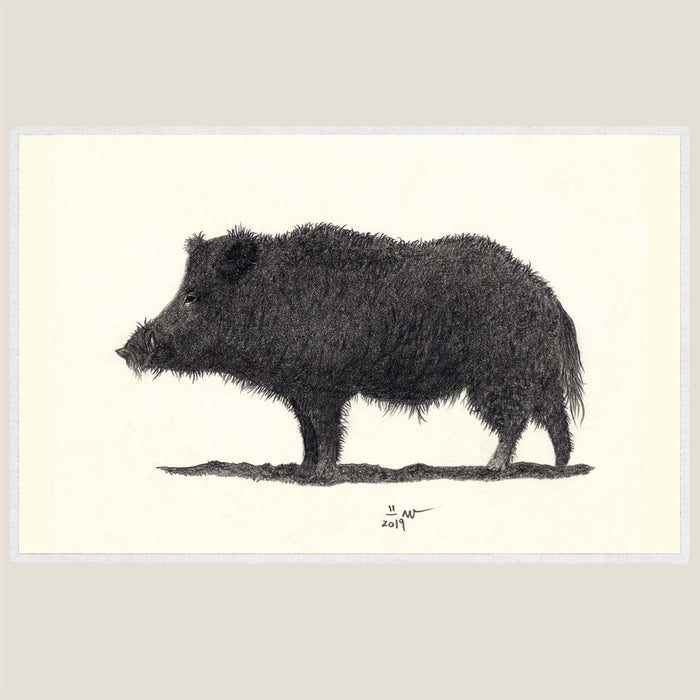 Wold Boar - Hand drawn waterproof placemat