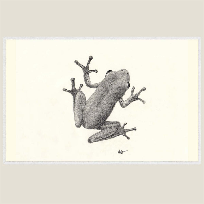 Frog - Hand drawn waterproof placemat