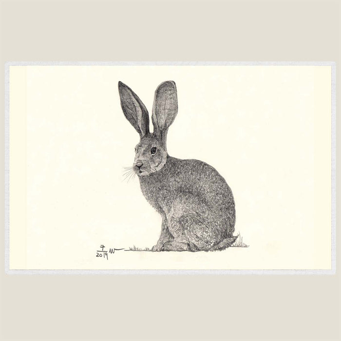 Hare 1 - Hand drawn waterproof placemat