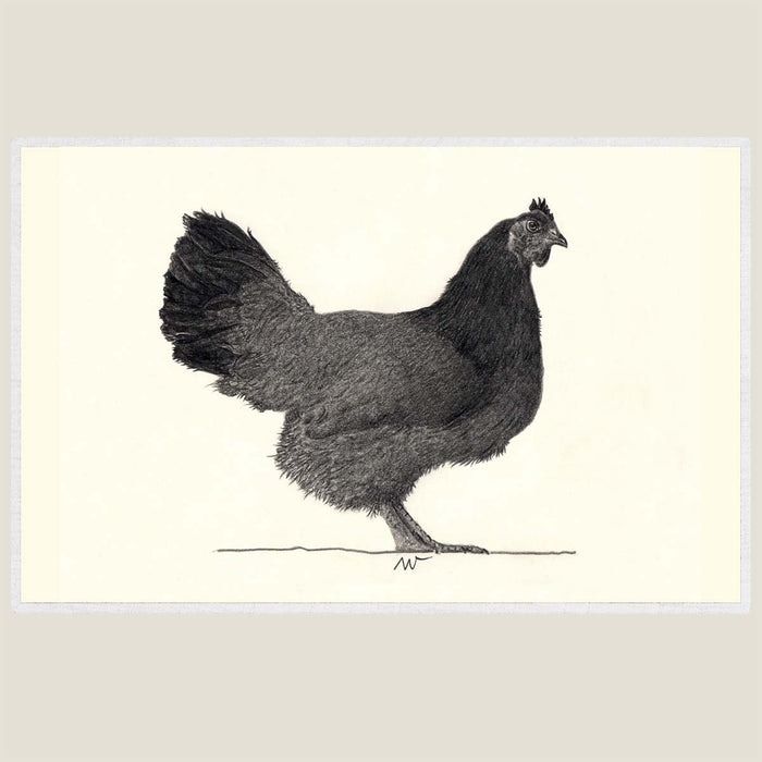 Hen 2 - Hand drawn waterproof placemat