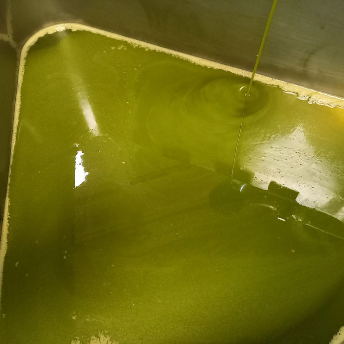 1 Box of Extravirgin Olive Oil, 3L
