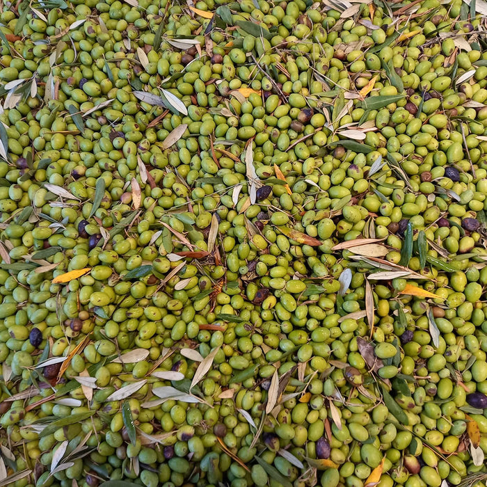 1 Box of Extravirgin Olive Oil, 3L