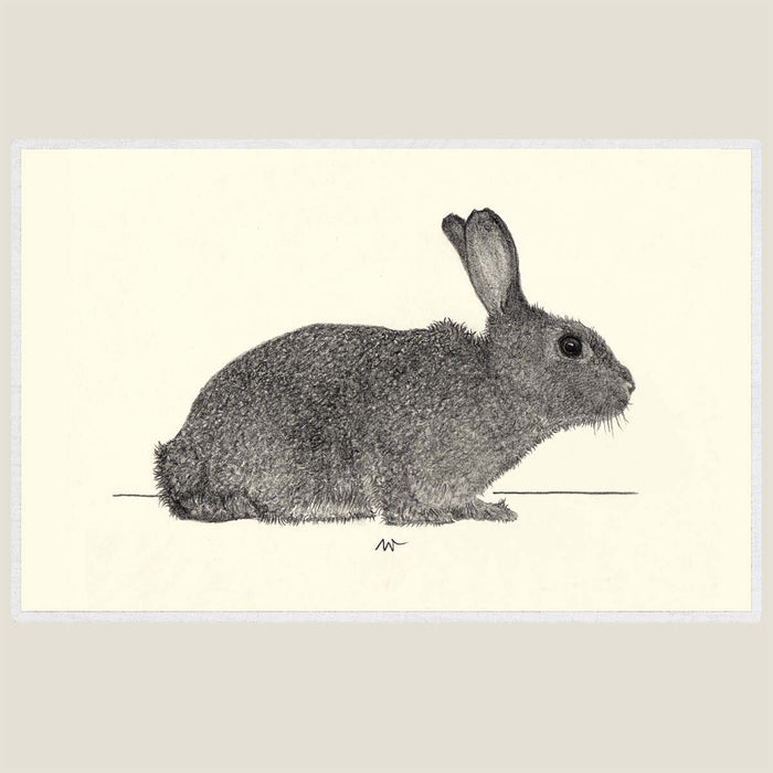 Rabbit - Hand drawn waterproof placemat
